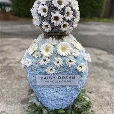 Daisy dream Perfume 