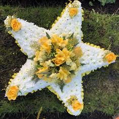 Yellow star tribute 