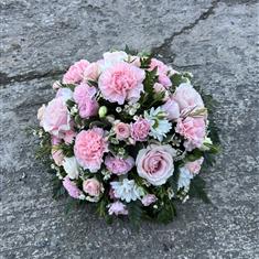 Dotted Posy - Pink 