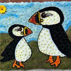 Puffin tribute 