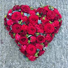 Red Rose &amp; Carnation Heart 