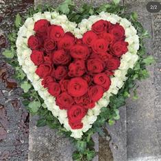 Red rose heart with ivy edge 
