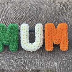 MUM - massed Irish colours 