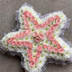 Small Pink Star tribute 
