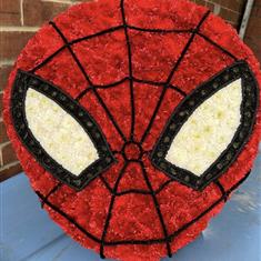 Spider man tribute 