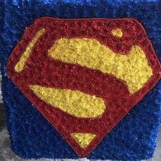 Superman tribute 