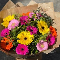 Gerbera frenzy 