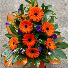 Gorgeous Gerberas - Orange 