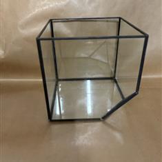 Square terrarium 