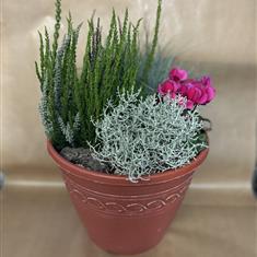 Outdoor planted tub 