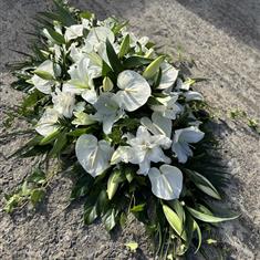 White lily &amp; White Anthurium