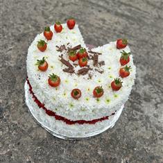 Cake tribute 