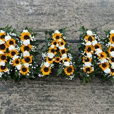 NAN - Sunflowers