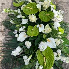 Green Anthurium Casket 