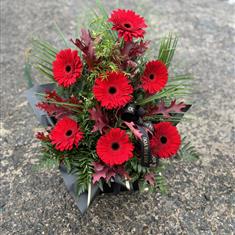 Gorgeous Gerberas - Red 