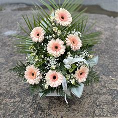 Gorgeous Gerberas - Peach