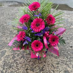 Gorgeous Gerberas - Hot Pink 