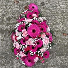 Germini &amp; Carnation teardrop - Cerise &amp; Pink