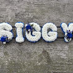 SIGGY - massed 