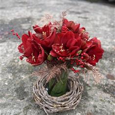 Festive Amaryllis vase arrangement 