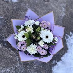 Lilac breeze 