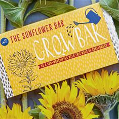 The sunflower grow bar