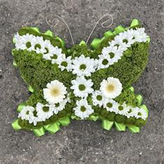 Butterfly tribute - Green 