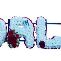 Massed lettering with Adidas logo 