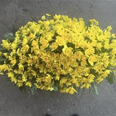 Daffodil casket 