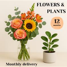 Flower &amp; plant subscription- 12 Months (monthly delivery) 
