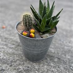 Desert Charm Bowl