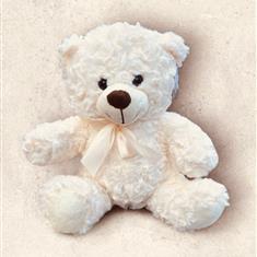 Cream teddy bear 