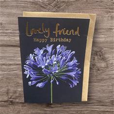 Lovely friend happy birthday 