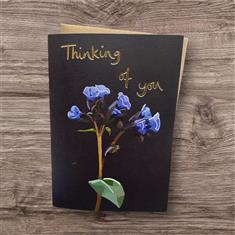 Thinking of you 