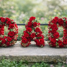 DAD - red rose tribute 