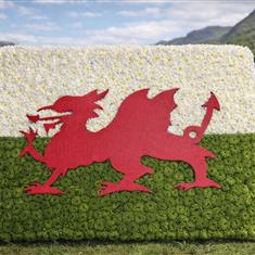Welsh flag 